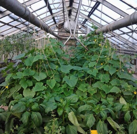 בית מלון כפרי Nad Doliną Krutyni