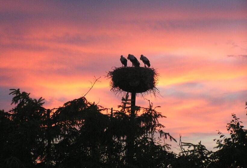 בית מלון כפרי Nad Doliną Krutyni