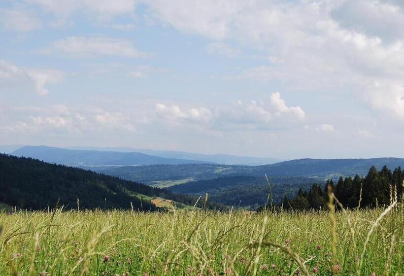 ホテル Olivia Medical Spa