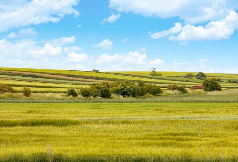 فندق Pałac Pakosław