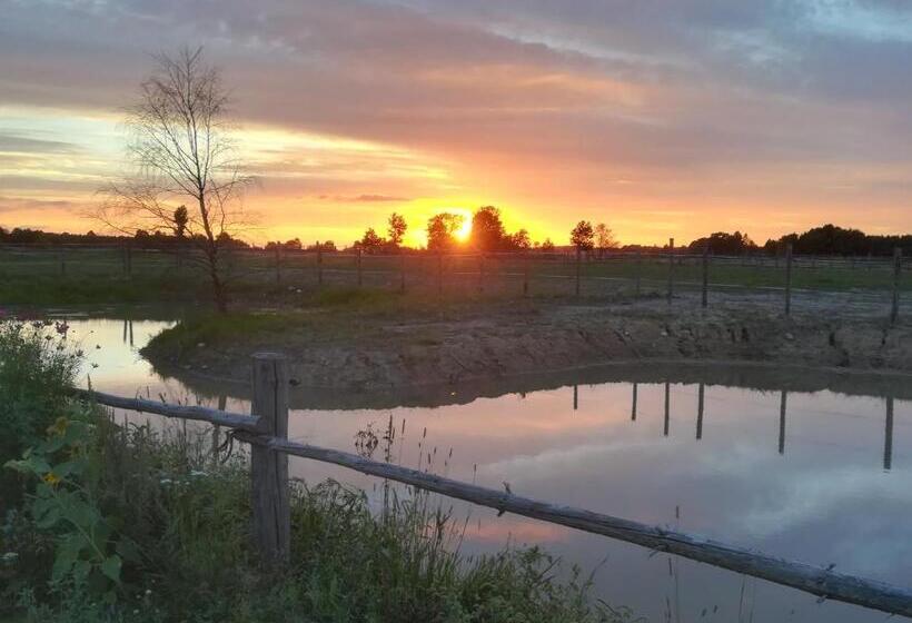 Отель Pensjonat Przy Stajni