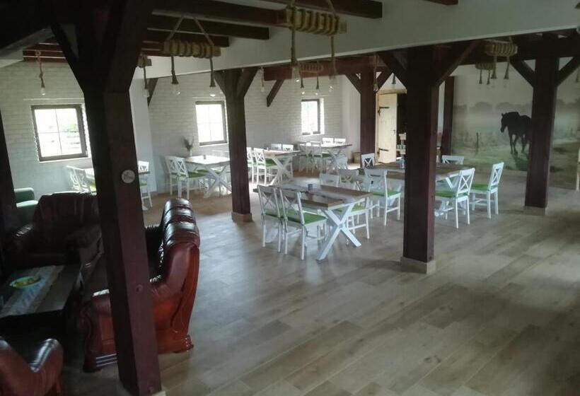 Отель Pensjonat Przy Stajni