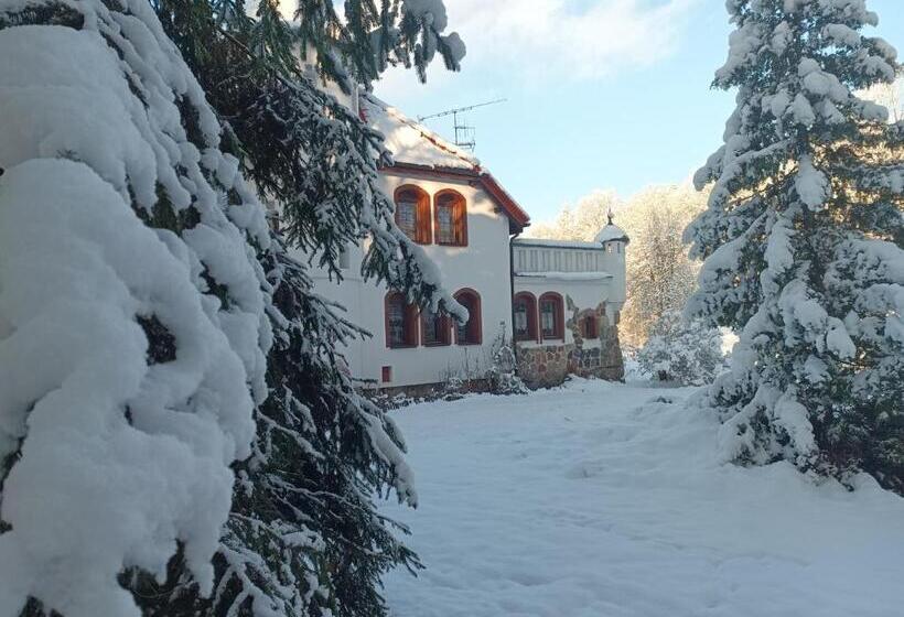 هتل Pensjonat Wiking