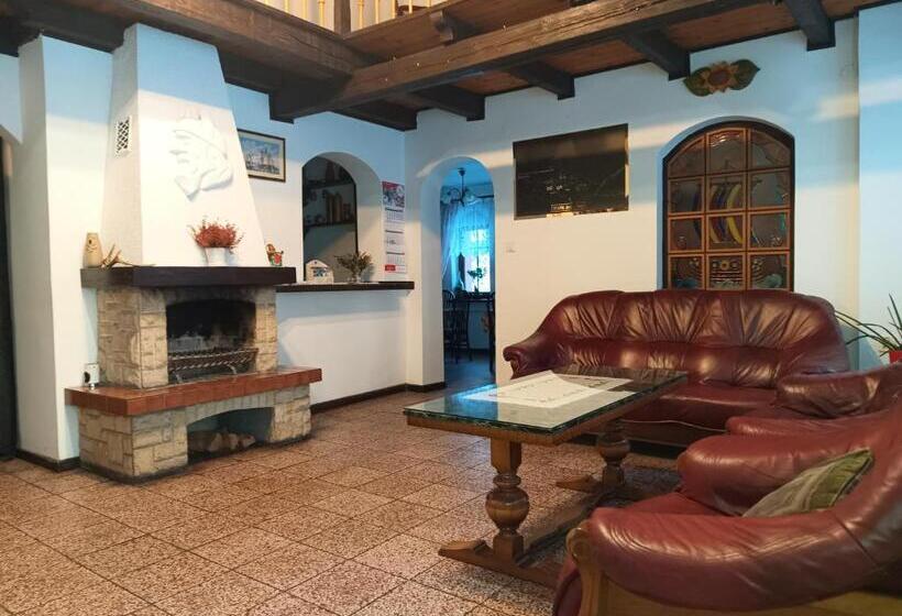 هتل Pensjonat Wiking