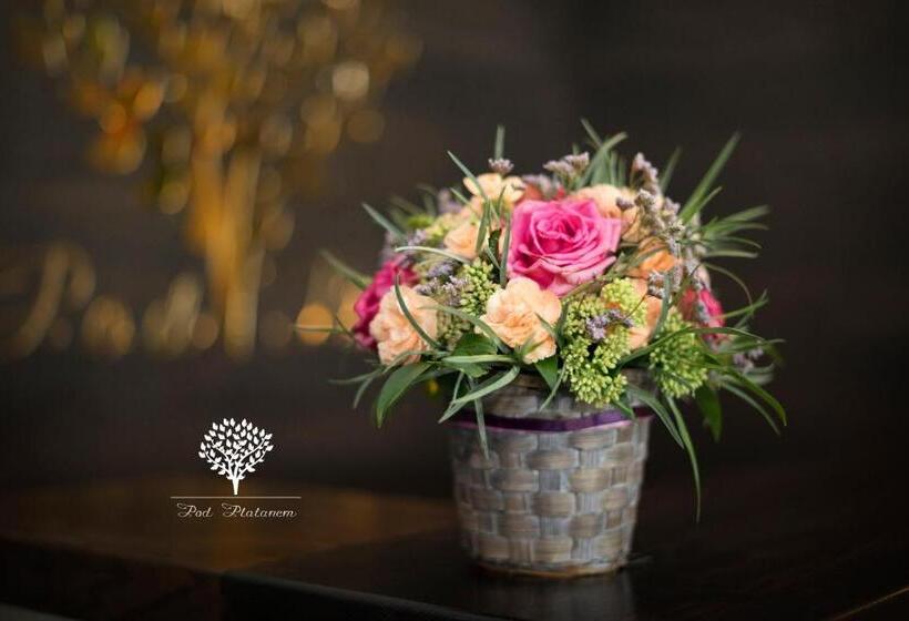 Szafirowy Dwór Hotel & Restauracja