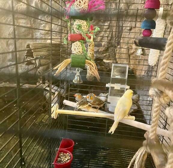 فندق Polonez W Rymaniu