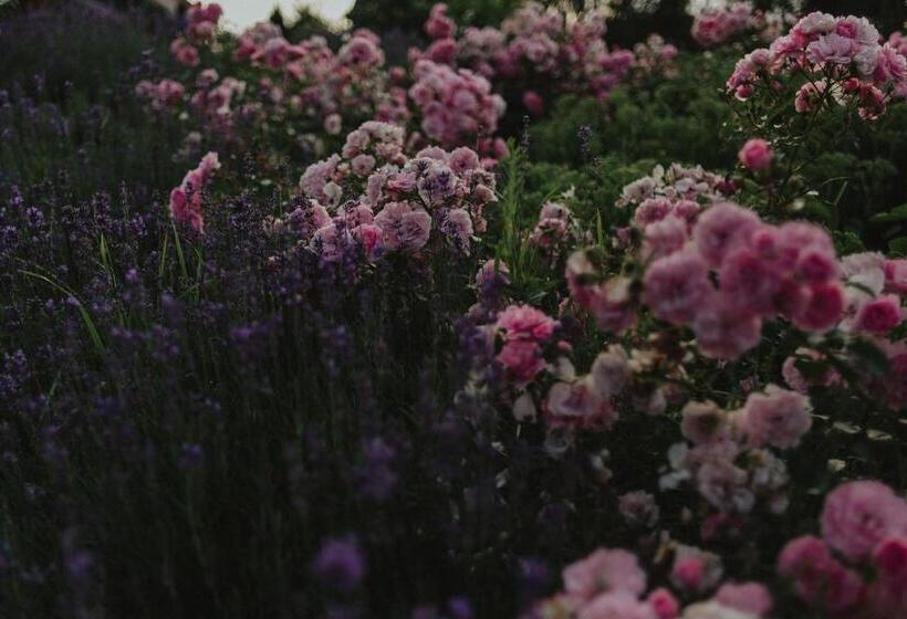 酒店 Ranczo W Dolinie