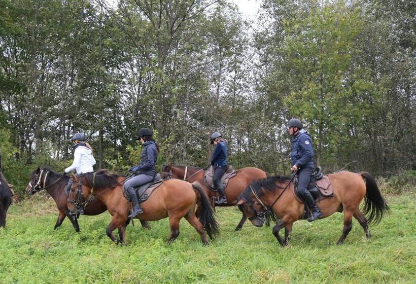 ホテル Ropuszy Dwór