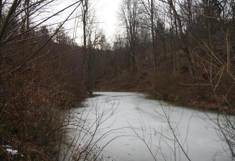 ホテル Ropuszy Dwór