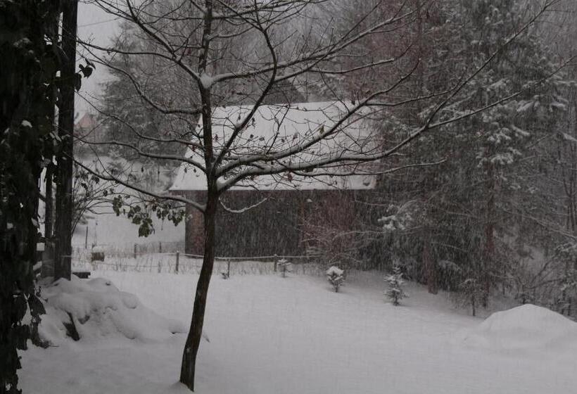 בית מלון כפרי Ropuszy Dwór