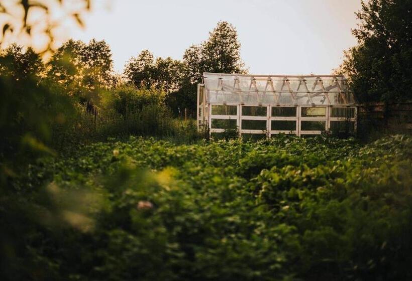 ホテル Stajnia Zamczysk