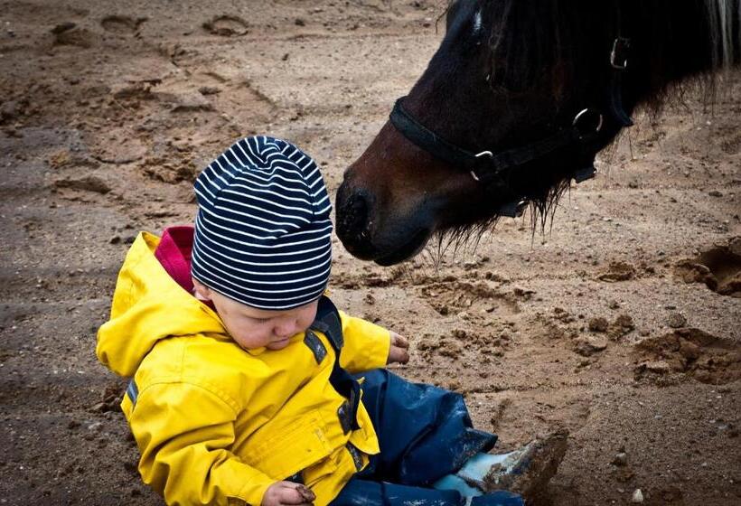 ホテル Stajnia Zamczysk
