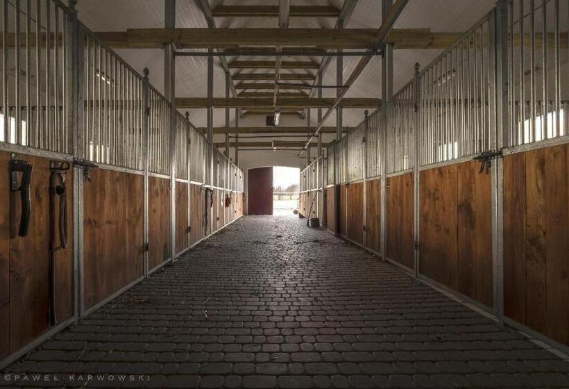 ホテル Stajnia Zamczysk