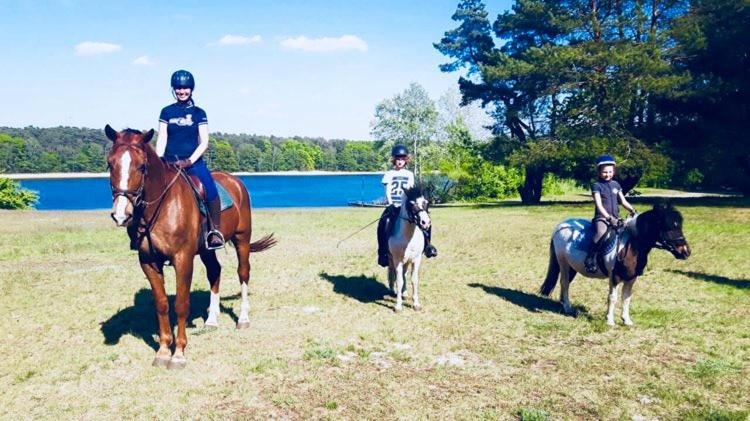 ホテル Szablewski