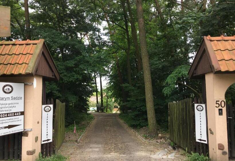 Отель W Starym Sadzie