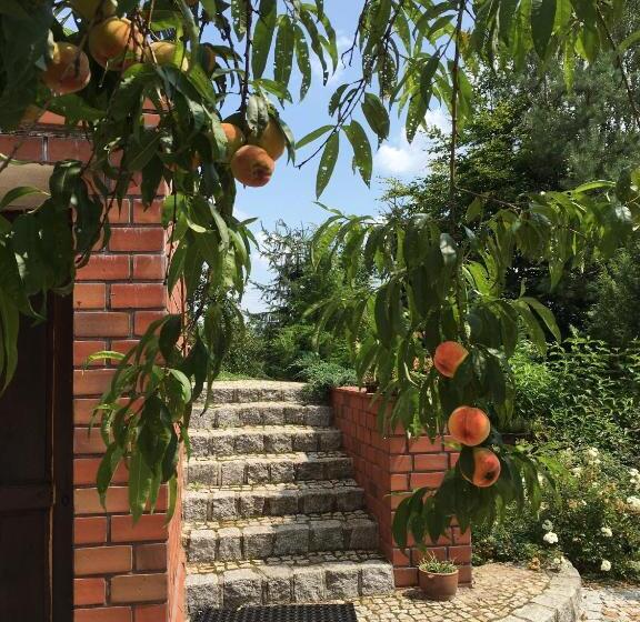 בית מלון כפרי W Starym Sadzie