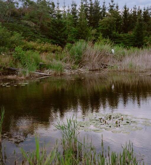 هتل Zielona Parcela