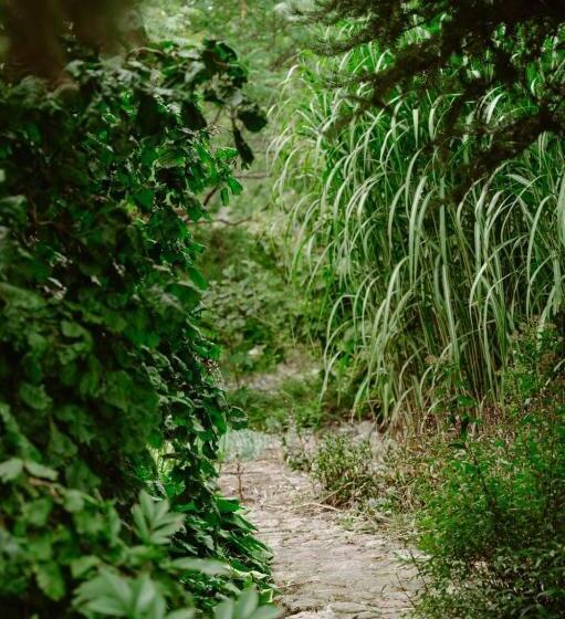 هتل Zielona Parcela