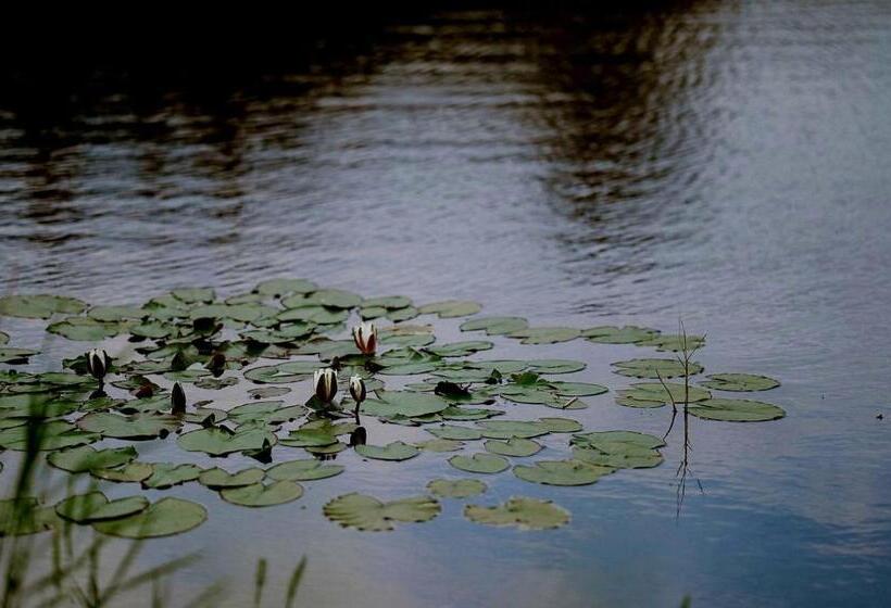 هتل Zielona Parcela