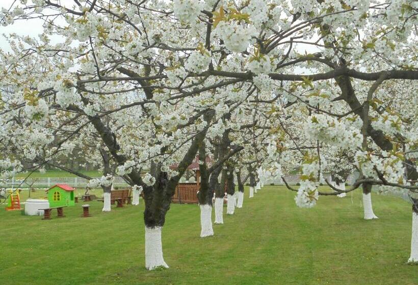 פנסיון Agroturystyka Krysia Pilszcz