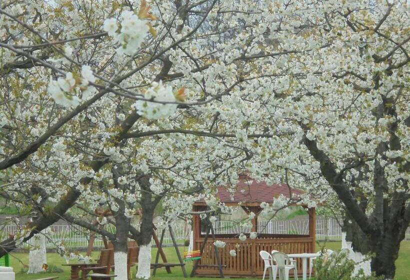 ペンション Agroturystyka Krysia Pilszcz