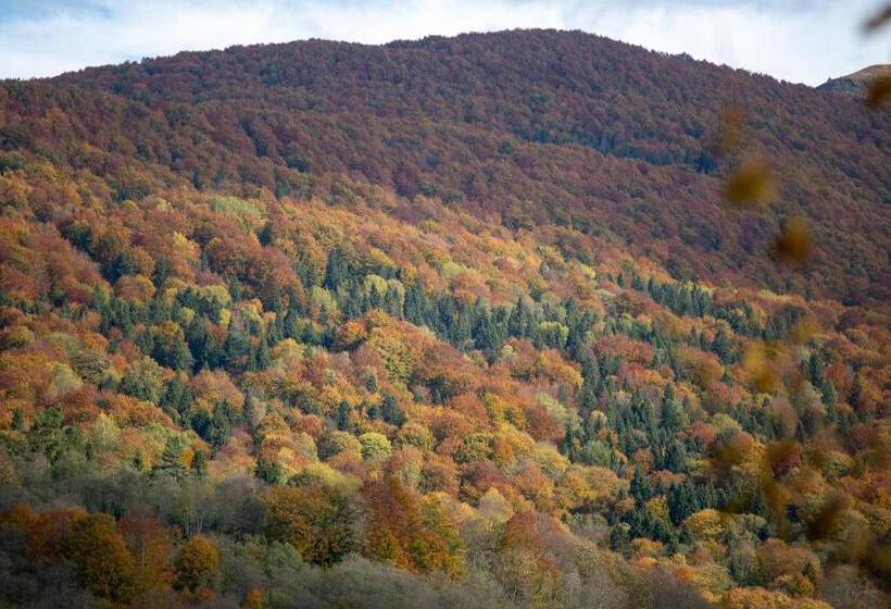 פנסיון Bojkowa Chata