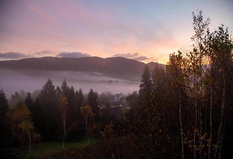 פנסיון Bojkowa Chata