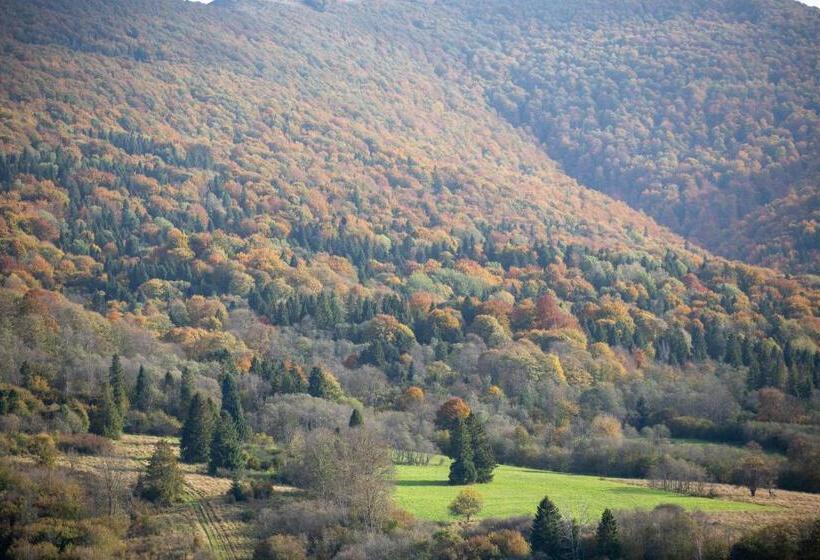פנסיון Bojkowa Chata