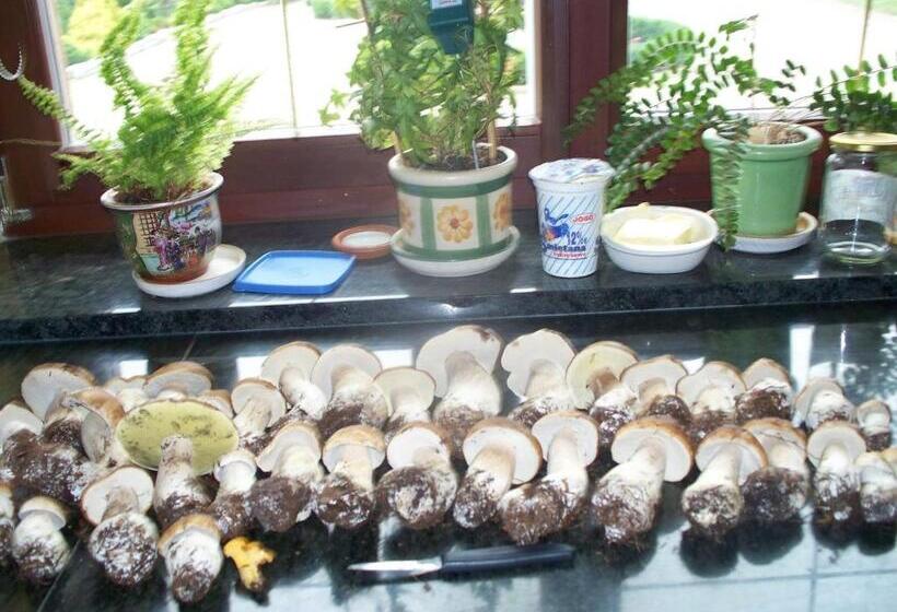 پانسیون Gościniec Słoneczny