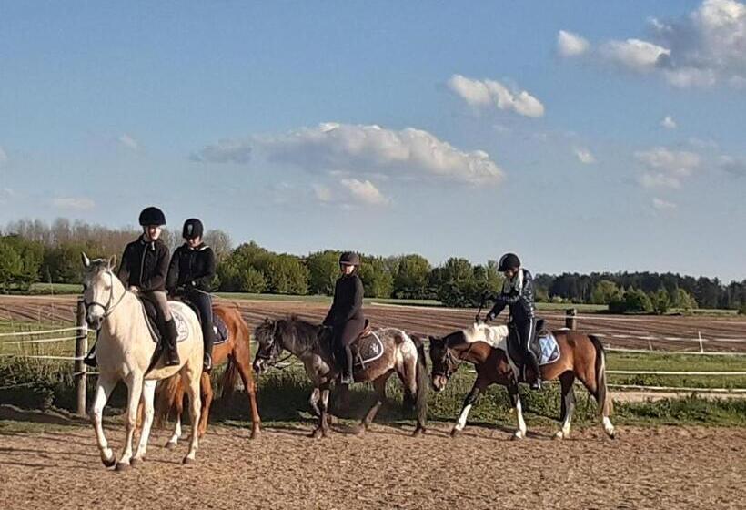 פנסיון Hosteria Na Mazurach