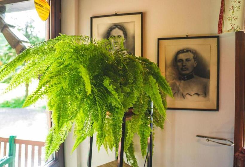 פנסיון Jałowcówka Centrum Aktywności Psychoruchowej