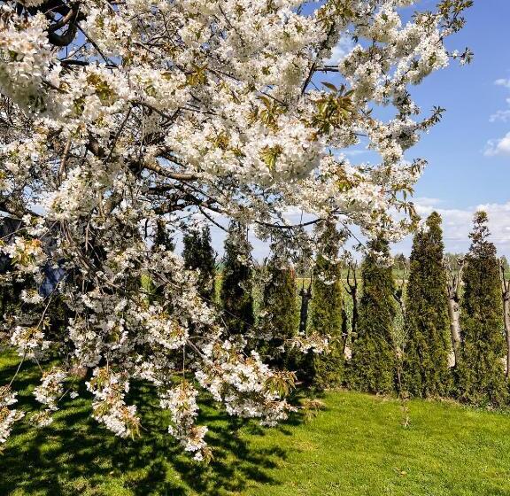 پانسیون Noclegi Pod Lasem