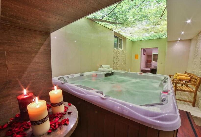 פנסיון Parkowy Dworek