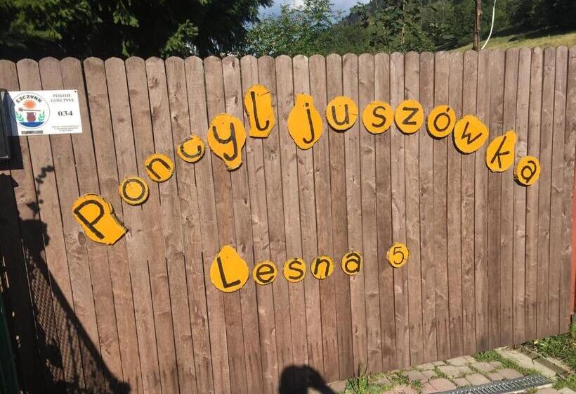 پانسیون Poncyljuszówka
