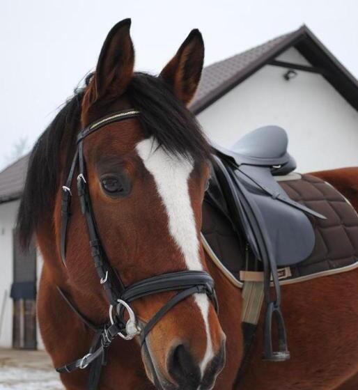 膳宿费 Pyszna Stajenka