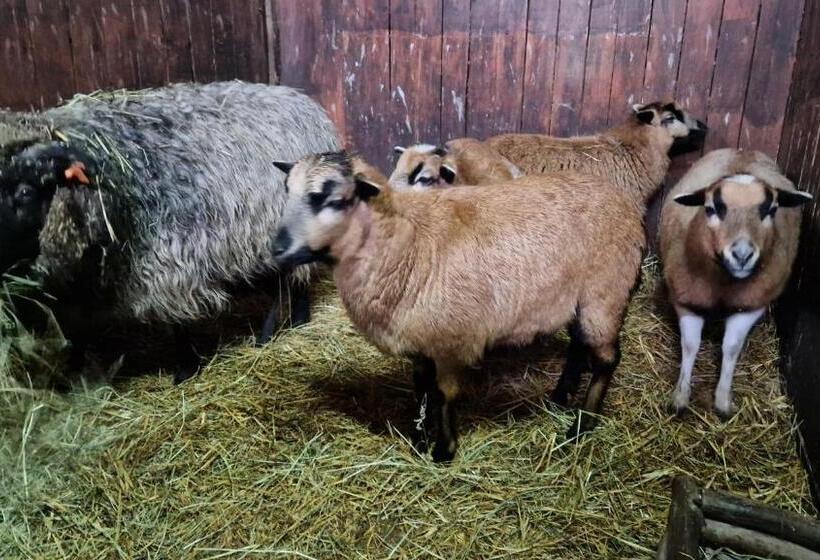 펜션 Rancho Colorado