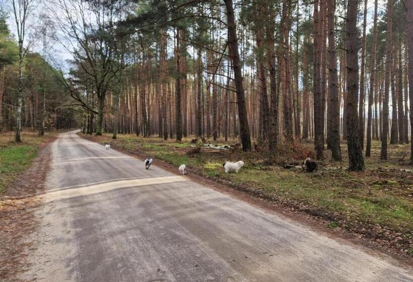 펜션 Rancho Colorado