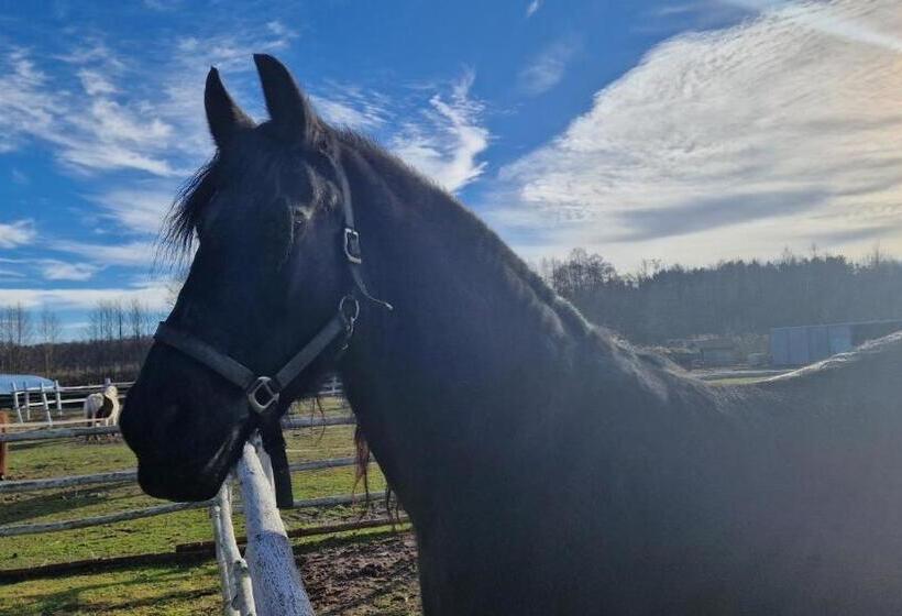 펜션 Rancho Colorado