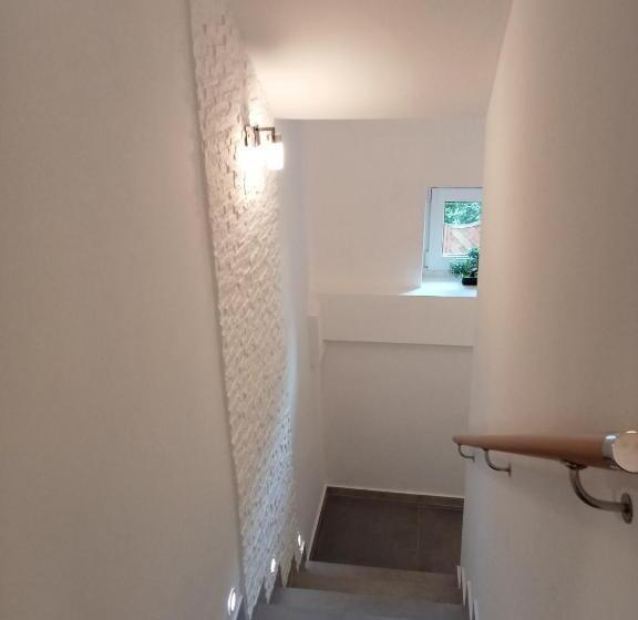 פנסיון Villa Selavi