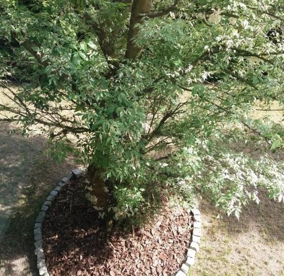 پانسیون Villa Tabu