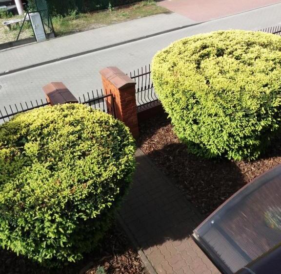 پانسیون Villa Tabu