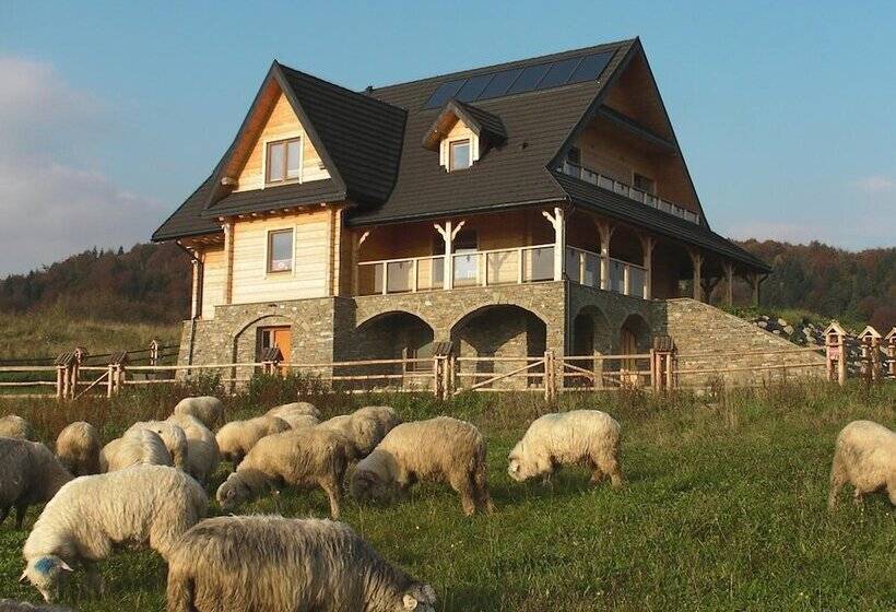 ペンション Willa Grywałd