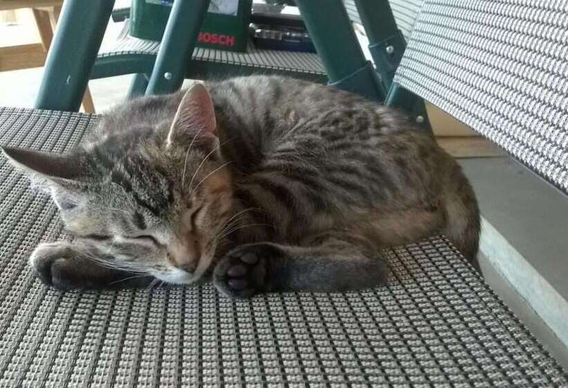 Пансион Willa Grywałd