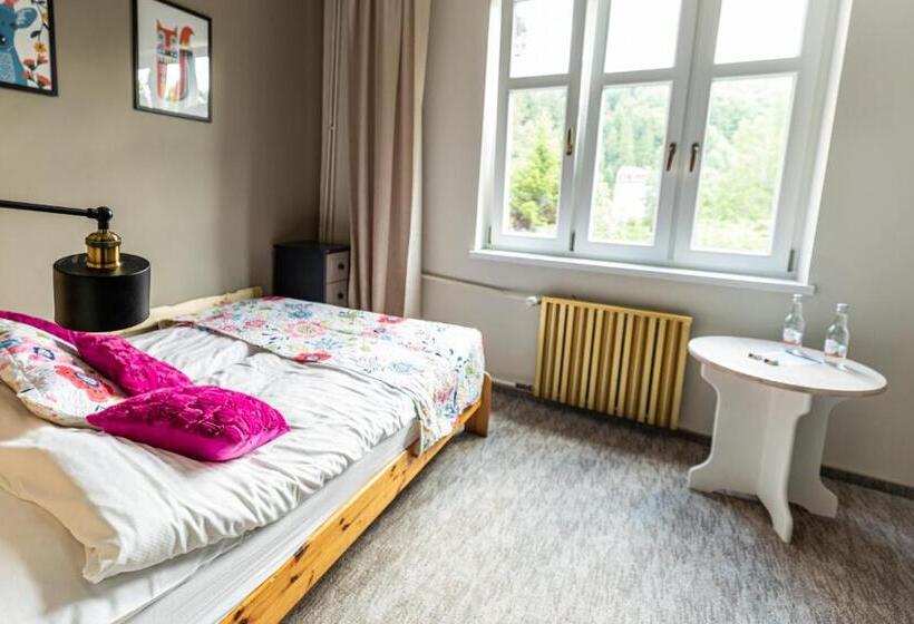 پانسیون Willa Halinówka