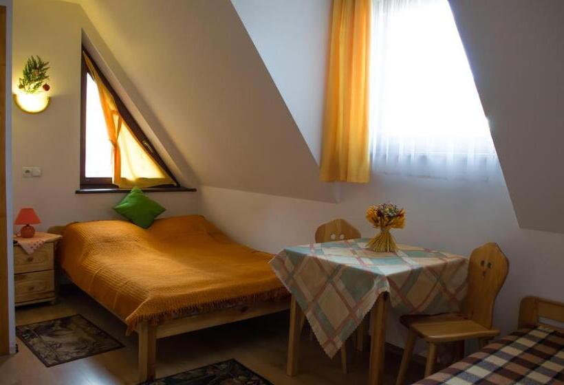 ペンション Willa Jafer - Zakopane Centrum