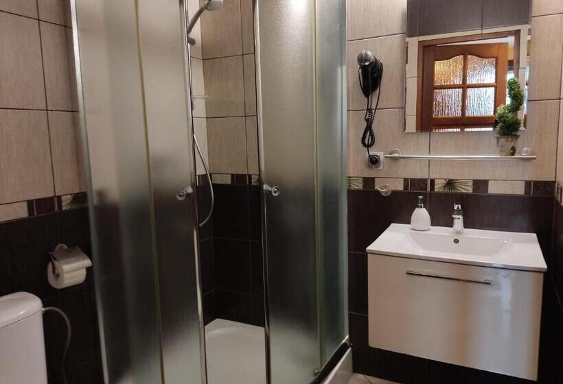 پانسیون Willa Klaudia Ustroń Centrum