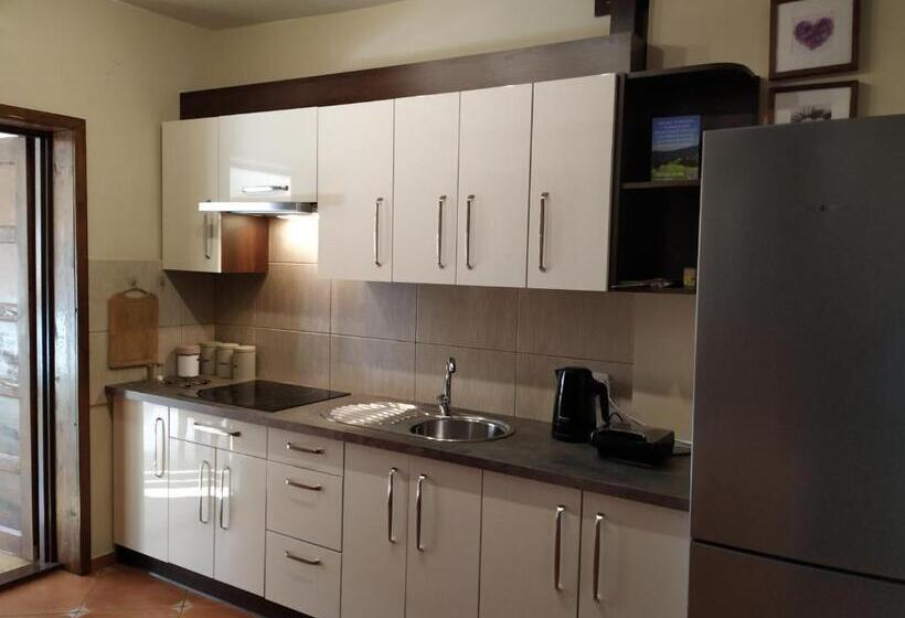 پانسیون Willa Klaudia Ustroń Centrum