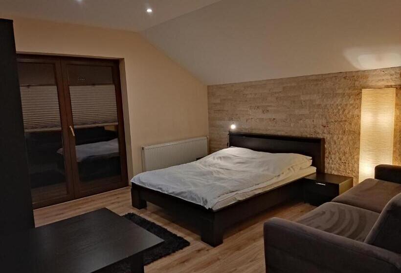 پانسیون Willa Klaudia Ustroń Centrum