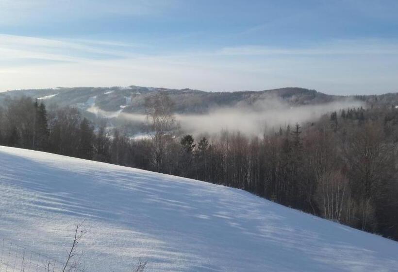 膳宿费 Willa Pod Bukami