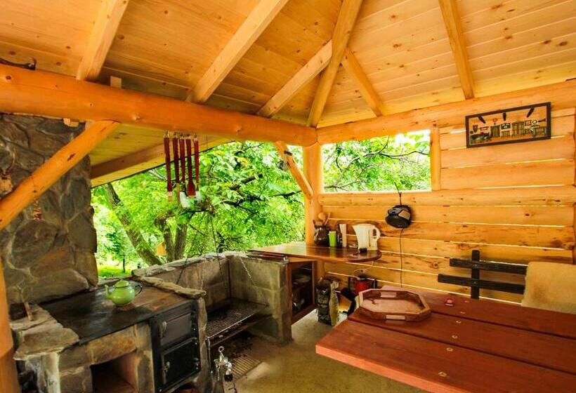 膳宿费 Willa Pod Bukami